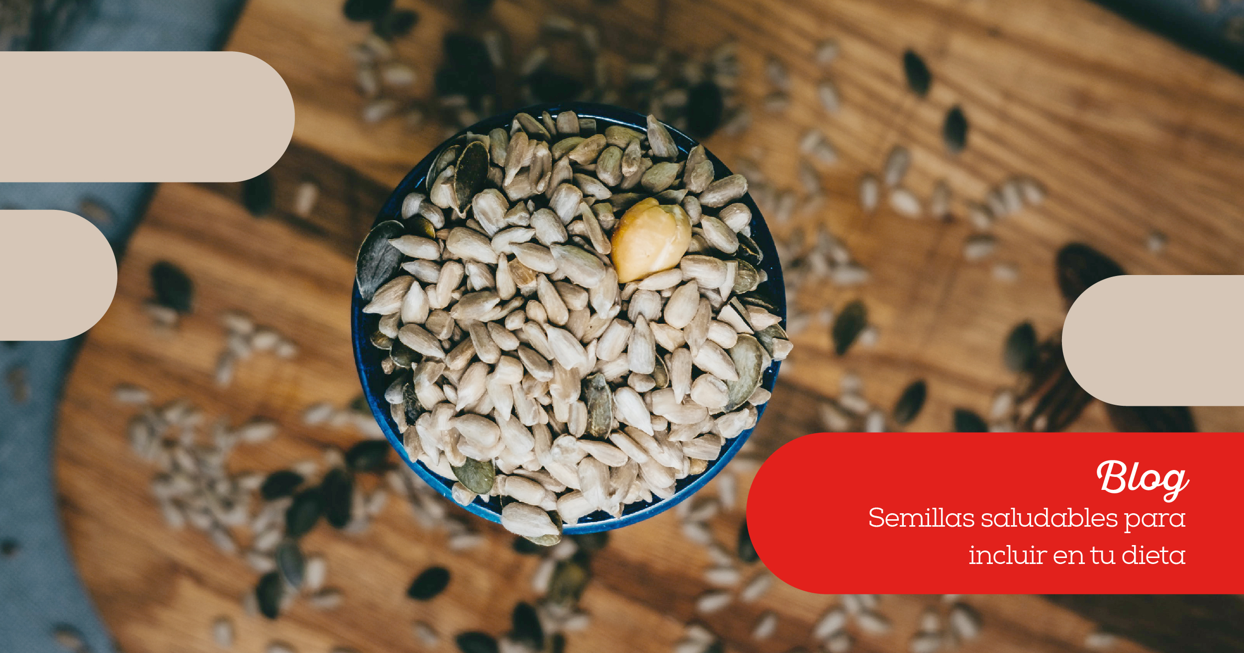 semillas saludables